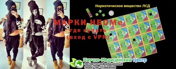 хмурый Арсеньев