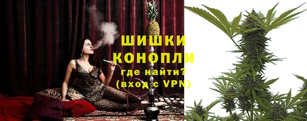 хмурый Арсеньев