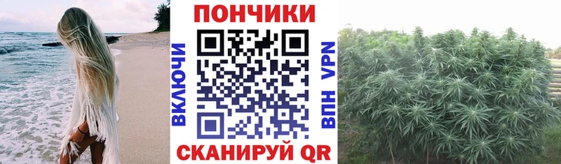 Конопля Bruce Banner  сколько стоит  Сельцо 